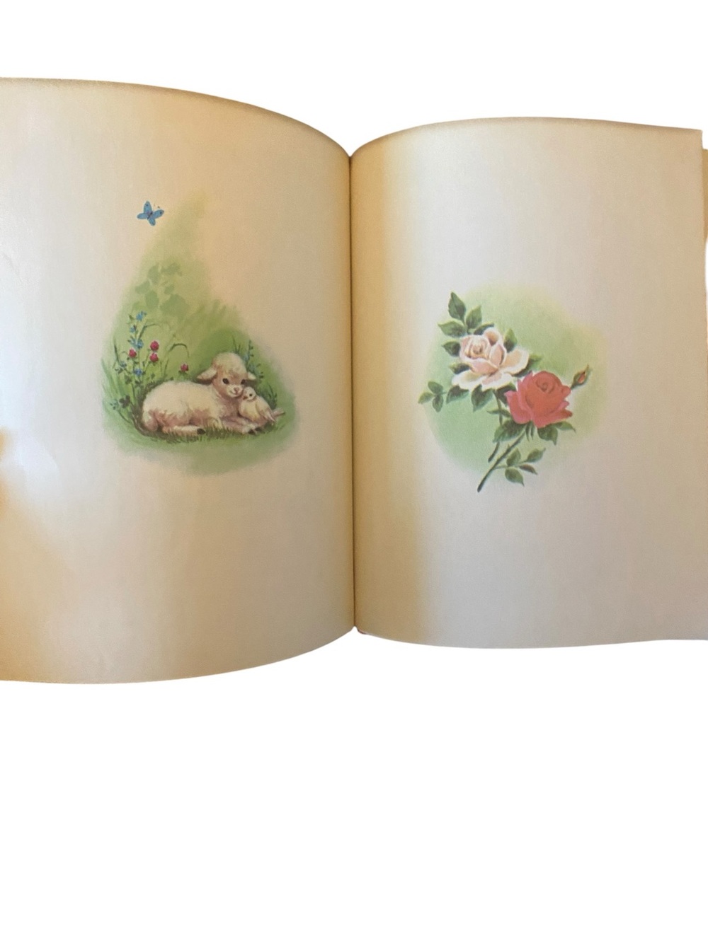 Vintage 60s hardcover Snow-White Rose-Red Rand McNally Children’s book Fairytale - Picture 5 of 10